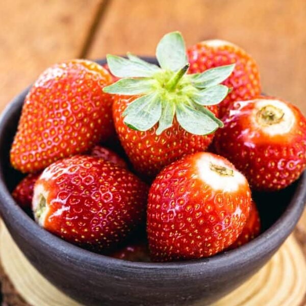 Annapolis-strawberry-variety (1)